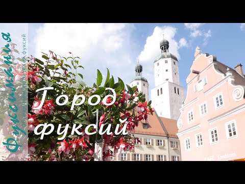 Видео: Город фуксий Вемдинг