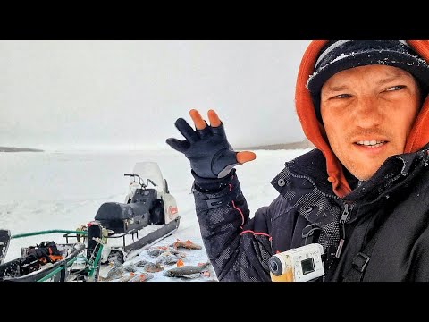 Видео: ЭТО НЕВОЗМОЖНО! САМИ ЛЕЗУТ ИЗ ЛУНКИ И ЖРУТ ЗАПЧАСТИ! ТАКОЕ ТОЛЬКО ЗДЕСЬ В ЯКУТИИ! Первый лёд 2021-22