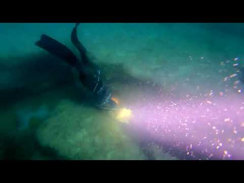 Видео: Мыс Суйе, подводная охота на судака граница с Туркменистаном часть 2 ночная  охота.