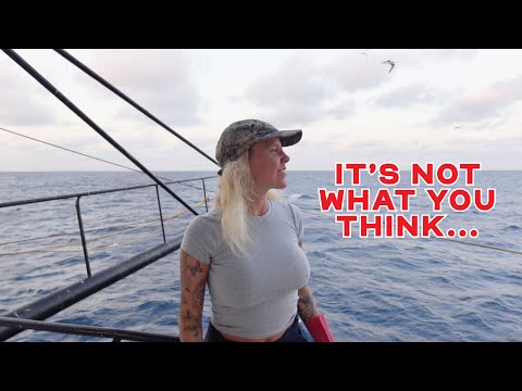 Видео: Что делают ловцы креветок, когда море слишком бурное для работы..