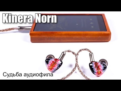 Видео: Обзор гибридных наушников Kinera Norn