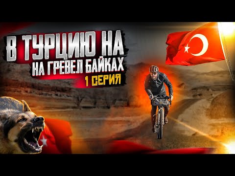 Видео: ТУРЦИЯ | СТАИ ДИКИХ СОБАК И БЕСПЛАТНАЯ ЕДА | ПЕРВАЯ СЕРИЯ