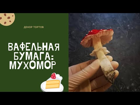 Видео: Вафельная бумага. МУХОМОР!