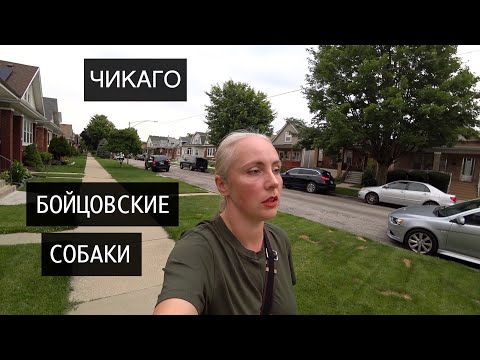 Видео: Опасная работа В США. Меня укусила собака. Осталась без работы| VLOG