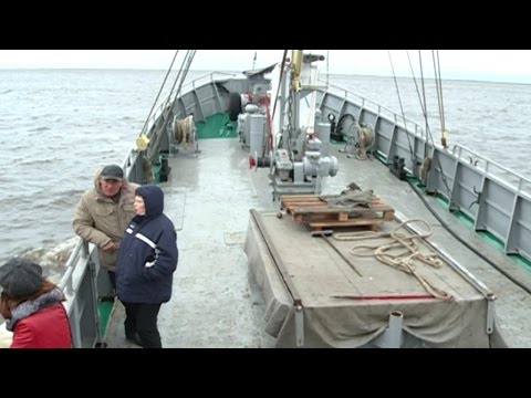 Видео: Салемальский рыбозавод ждёт  массового хода рыбы