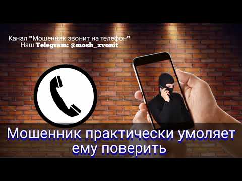 Видео: Мошенник практически умоляет ему поверить