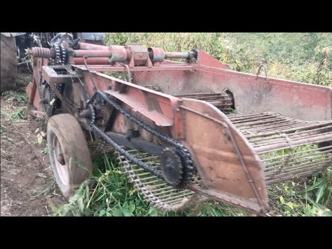 Видео: Уборка Картофеля с Трактор Беларусам | Картофелекопалка
