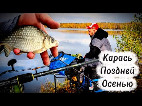 Видео: Ловля карася осенью 2025 #fishing #рыбалка #рыбалканафидер 