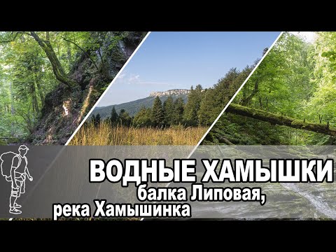 Видео: Балка Липовая и Хамышинка | Gully Lipovaya & river Hamyshynka