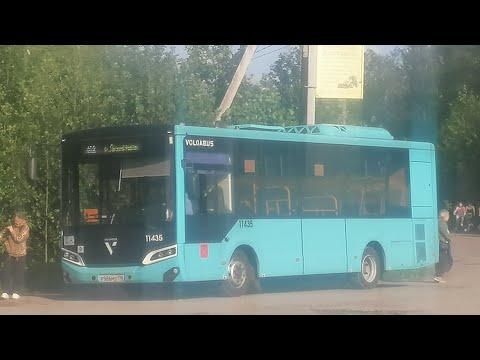 Видео: Автобус 469  "Садоводство  "Восход-2"   -  Река Оккервиль"