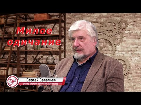 Видео: С.В. Савельев - Милое одичание