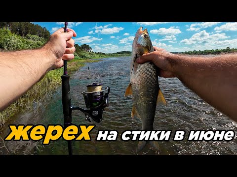 Видео: Рыбалка на жереха в середине июня