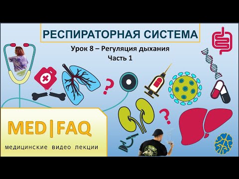 Видео: Урок 8  Регуляция дыхания  Часть 1