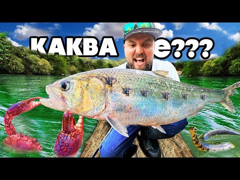 Видео: 99% OT ВАС НЕ СА Я ХВАЩАЛИ!!!