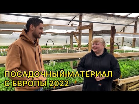 Видео: Где я беру новинки черенков вегетативных растений.