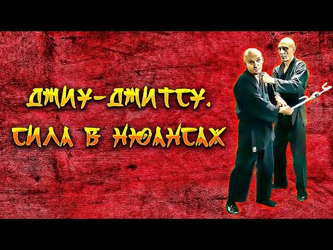 Видео: Джиу-джитсу. Сила в нюансах.