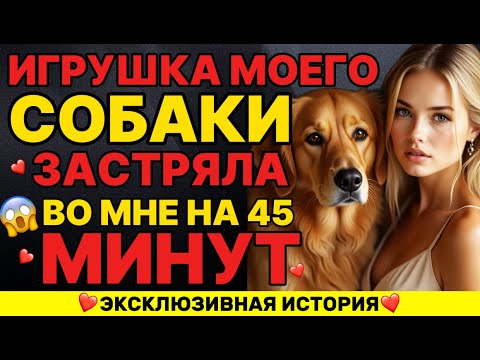 Видео: Щенок и его игрушка застряль на 45 минут... ого!