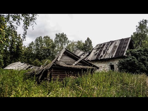 Видео: Начинаю восстановление старого дома в деревне
