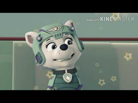 Видео: ❄️Эверест и Маршал🔥 ❄️Everest and Marshal 🔥