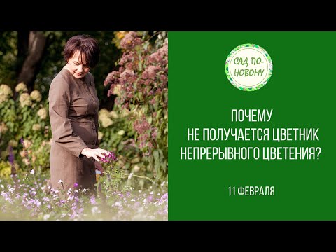 Видео: Почему не получается цветник непрерывного цветения? Запись прямого эфира от 11.02.2021