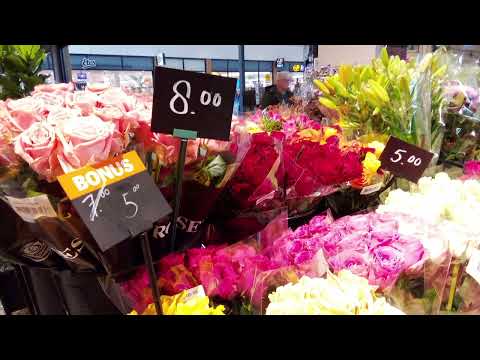 Видео: 31 октября 2025 г.