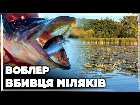 Видео: ✅️ ВОБЛЕР - ВБИВЦЯ ЩУКИ по МІЛЯКАМ 🔥‼️🐊 ЛОВ ЩУКИ восени по ТРАВІ! Таки ПІДІБРАВ КЛЮЧИК‼️