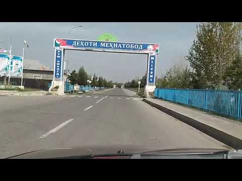 Видео: хамадони дружба