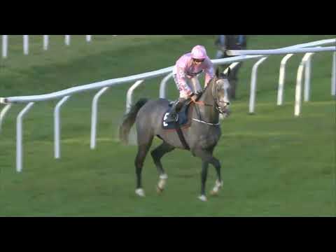 Видео: R5 в 15:15, ЛИНГФИЛД, Великобритания, 18 ноября 2025 г.