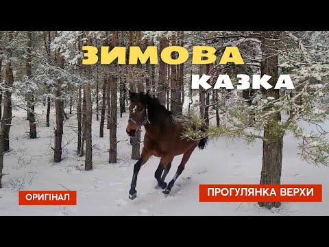 Видео: Насолоджуюся зимою разом з кіньми/ Наслаждаюсь зимой вместе лошадьми -  16 січня 2024 р.