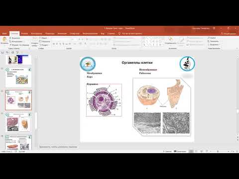 Видео: Гистология. 1 курс Стоматология