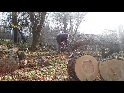 Видео: мотор сич 270.  20171025 1406