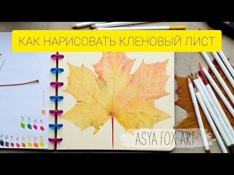 Видео: КАК НАРИСОВАТЬ КЛЕНОВЫЙ ЛИСТ ЦВЕТНЫМИ КАРАНДАШАМИ/ASYAFOXART