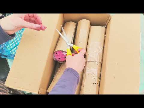 Видео: Распаковка посылок с саженцами.