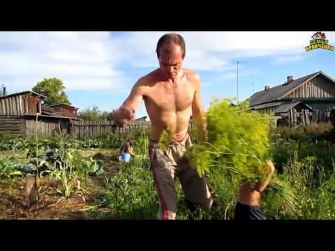 Видео: Семья Бровченко. Сбор картошки и уборка урожая (часть 3) (09.15г.)