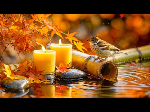 Видео: Красивая расслабляющая музыка со звуками воды 🌿 Глубокое исцеление и снятие стресса