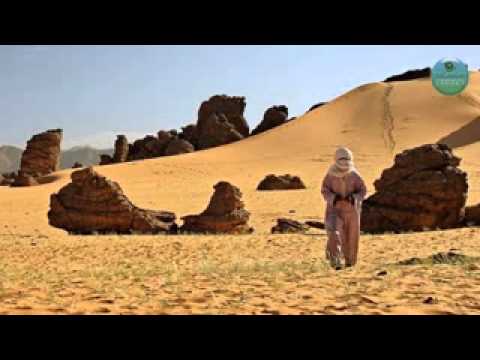 Видео: Шоип. Хьехам