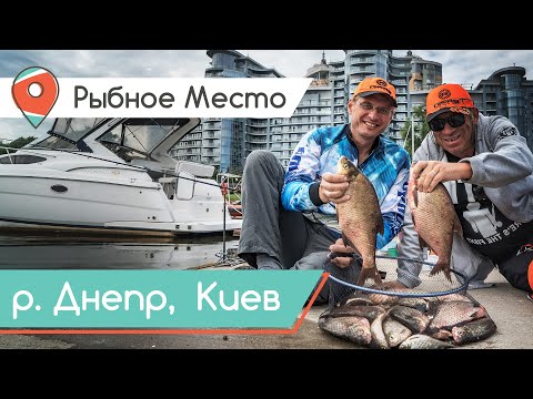 Видео: РЫБАЛКА В ЦЕНТРЕ КИЕВА! Фидерная ловля с комфортом. Рыбное место.