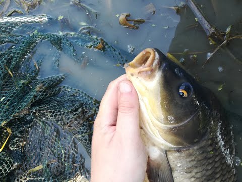 Видео: Крючки Gamakatsu, Hayabusa, Maver, Kamasan для поплавочной и фидерной ловли. Часть 3.