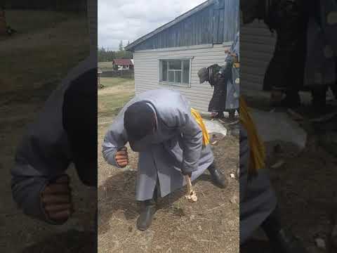 Видео: Хөвсгөл аймаг Ханх сумын залуус