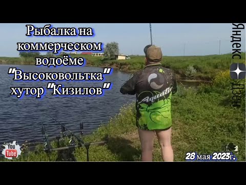 Видео: Рыбалка на коммерческом водоёме "Высоковольтка" хутор "Кизилов" 28 мая 2023г.