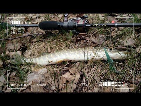 Видео: Микроджиг в конце апреля с Zetrix Flair 732 ULT на небольших прудах и карьерах