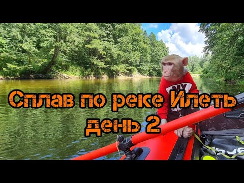 Видео: Сплав по реке Илеть с обезьяной. День 2