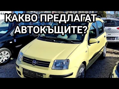 Видео: КАКВИ КОЛИ СЕ ПРЕДЛАГАТ ОТ АВТОКЪЩИТЕ И НА КАКВИ ЦЕНИ! ПОЛОЖЕНИЕТО НЕ Е РОЗОВО, КОЛИТЕ СА МАЛКО И ..