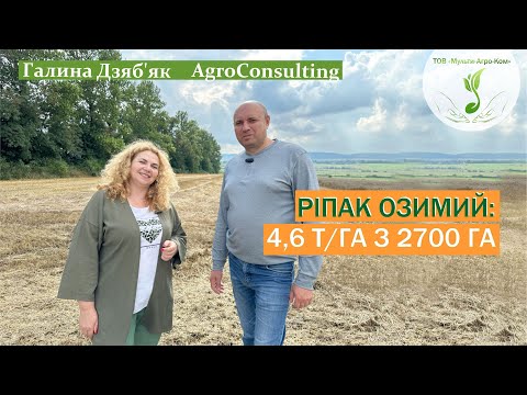 Видео: ЯРОСЛАВ БАЙ: максимальна урожайність ріпаку 6,3 т/га, результати демо-посівів 45 гібридів