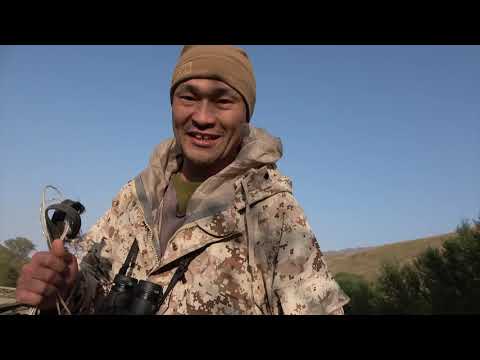 Видео: Трофейная охота на косулю. Жамбылская область