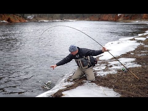 Видео: Рыбалка на ОГРОМНЫХ РЫБ с берега на спиннинг.