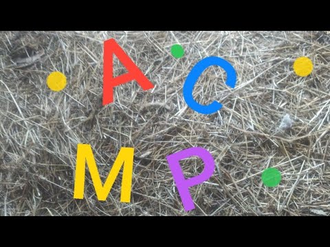 Видео: ДОЛГОЖДАННОЕ АСМР🥰🥰🥰🥰🥰