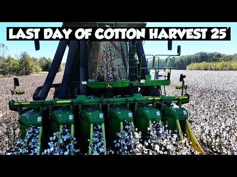 Видео: ЧЕЛОВЕК, ЭТО БЫЛ ВЕСЕЛЫЙ УРОЖАЙ ХЛОПКА