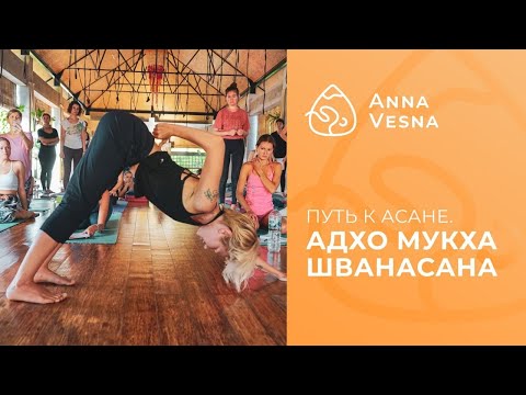 Видео: Поза собаки мордой вниз - самый подробный разбор Адхо Мукха Шванасаны