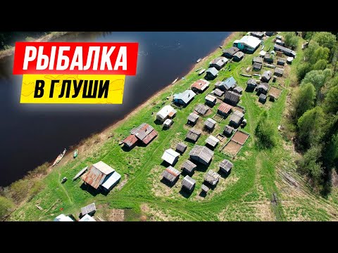 Видео: 🔥 РЫБАЛКА на хариуса 2022. Рыблка на Политстане. Не пытайтесь найти на карте! 🐟